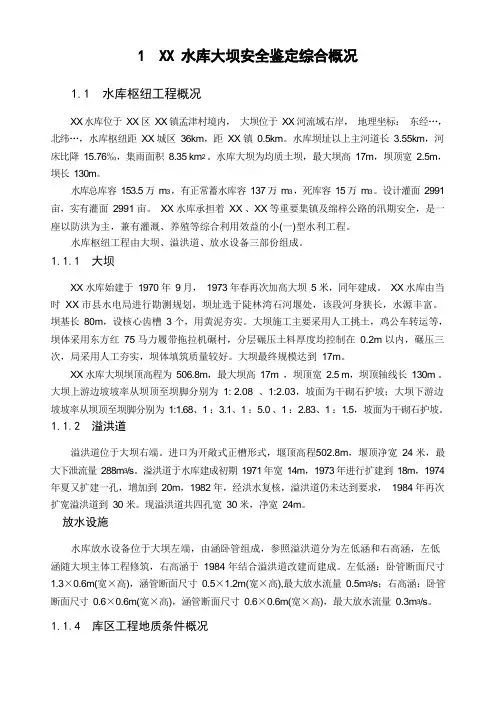 水库大坝安全评价报告