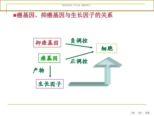 癌基因抑癌基因与生长因子