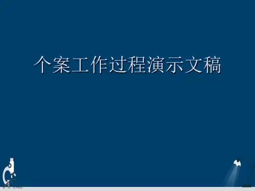 个案工作过程演示文稿