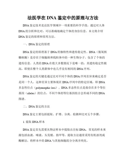 法医学在DNA鉴定中的原理与方法
