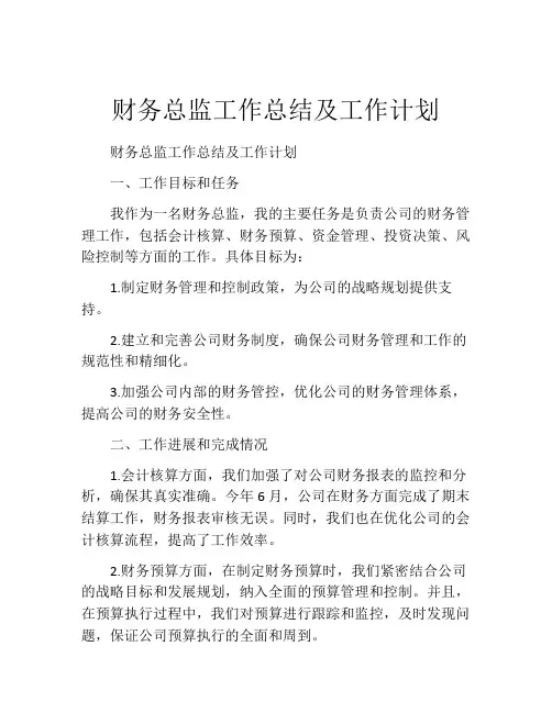 财务总监工作总结及工作计划(精选10篇)