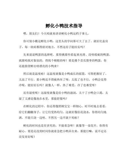 孵化小鸭技术指导
