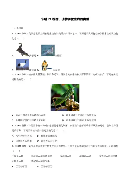 专题09 植物、动物和微生物的类群-三年(2020-2022)中考生物真题分项汇编(全国通用)