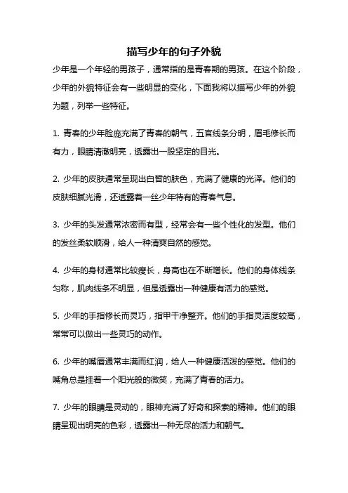描写少年的句子外貌