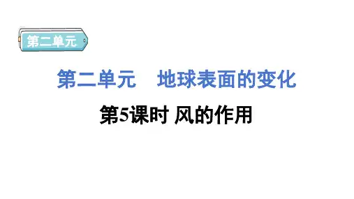 2.5 风的作用 课件-教科版科学五年级上册