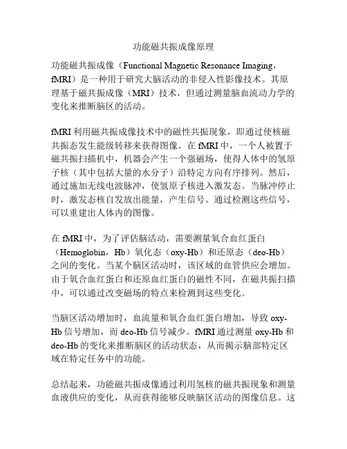 功能磁共振成像原理