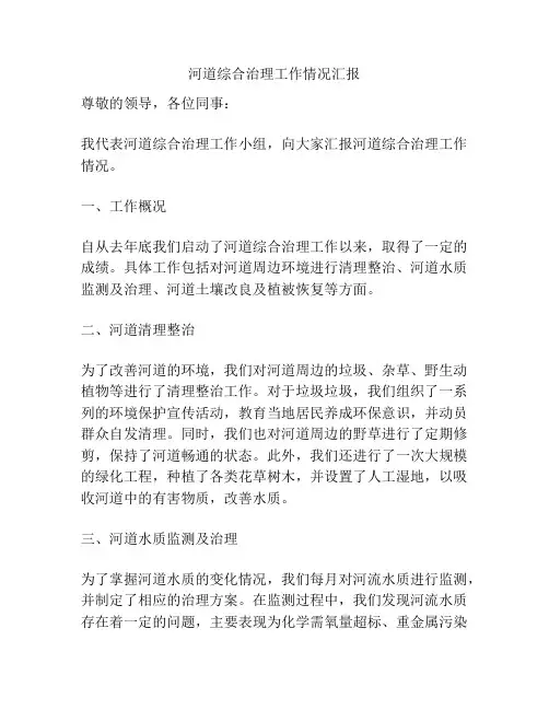 河道综合治理工作情况汇报