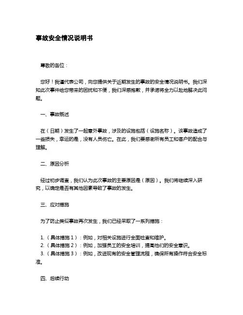 事故安全情况说明书