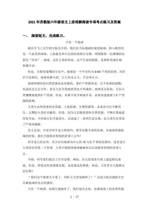 2021年苏教版六年级语文上册理解阅读专项考点练习及答案