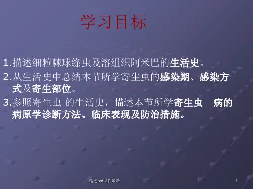 人体寄生虫鞭毛虫PPT课件