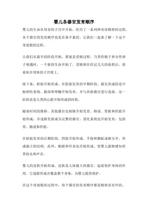 婴儿各器官发育顺序