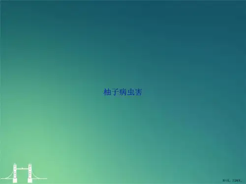 柚子病虫害讲课文档