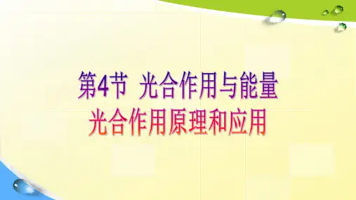高中人教版高中生物 光合作用的原理和应用