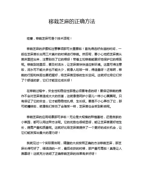 移栽芝麻的正确方法