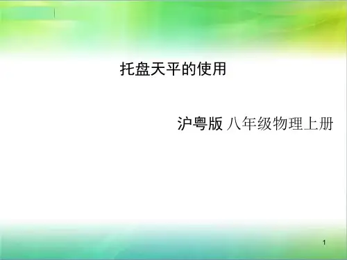 托盘天平的使用微PPT课件