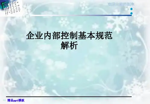 企业内部控制基本规范解析