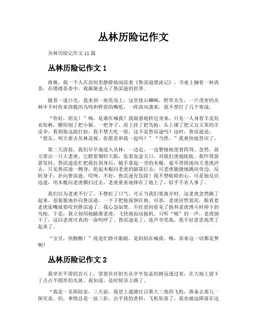 丛林历险记作文