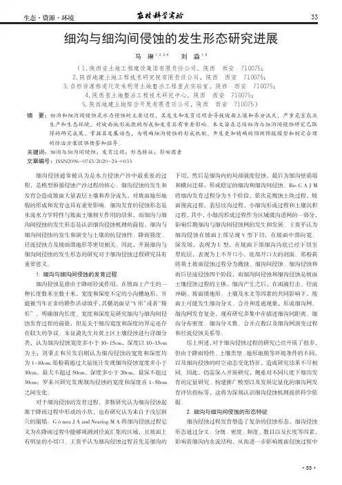 细沟与细沟间侵蚀的发生形态研究进展