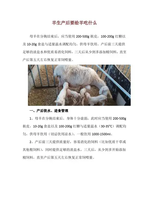 羊生产后要给羊吃什么