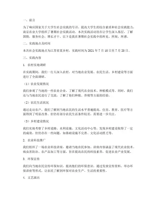 南农暑期社会实践报告