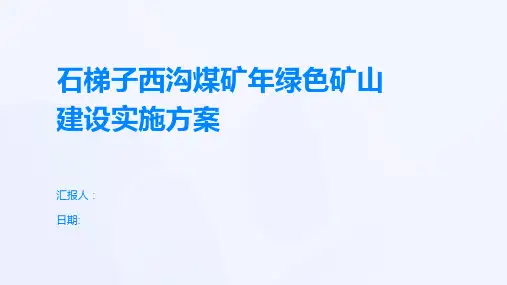 石梯子西沟煤矿年绿色矿山建设实施方案
