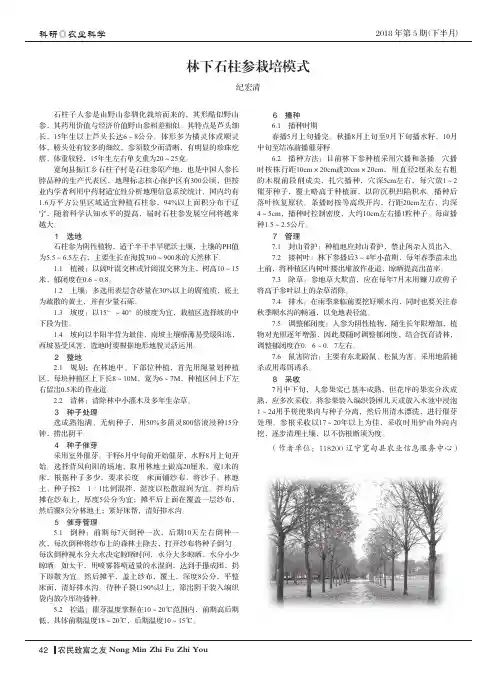 林下石柱参栽培模式
