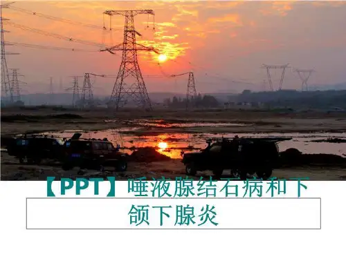 最新【PPT】唾液腺结石病和下颌下腺炎PPT课件