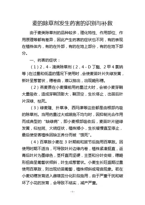 麦的除草剂发生药害的识别与补救