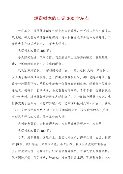 观察树木的日记300字左右