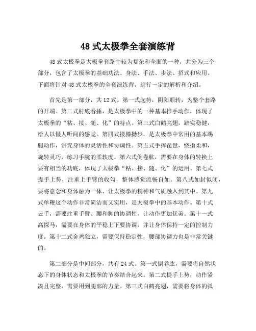 48式太极拳全套演练背