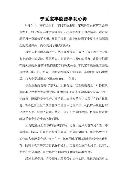 宁夏宝丰能源参观心得