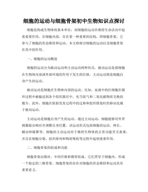 细胞的运动与细胞骨架初中生物知识点探讨