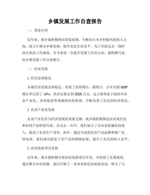 乡镇发展工作自查报告