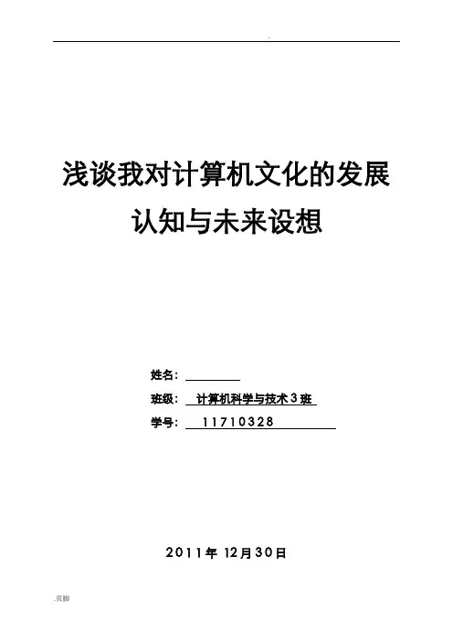 浅谈我对计算机文化的发展