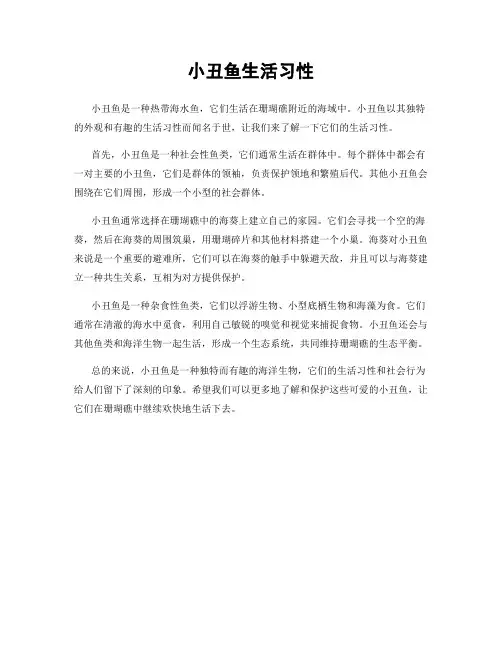 小丑鱼生活习性