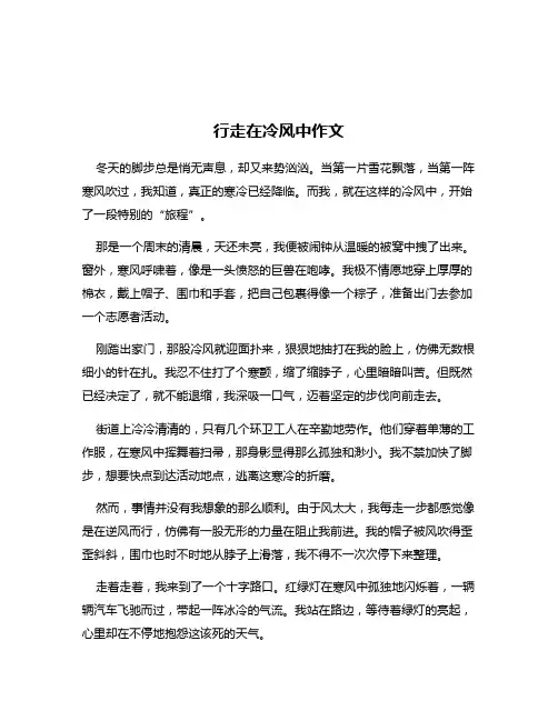 行走在冷风中作文