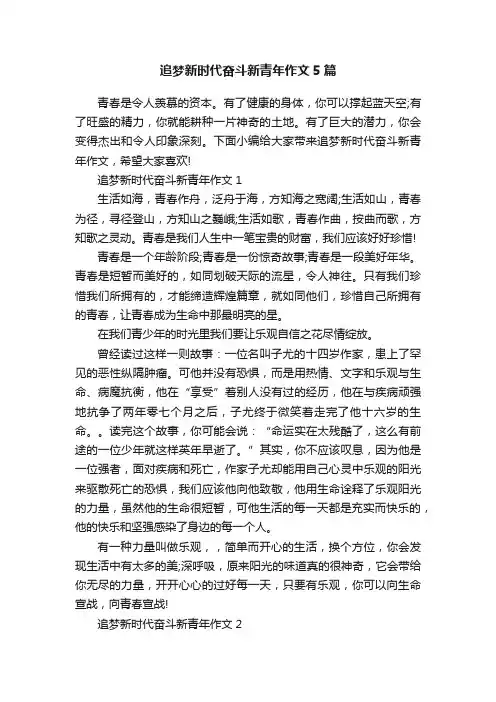 追梦新时代奋斗新青年作文5篇