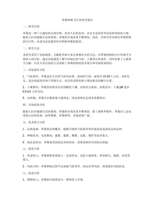 草莓种植 可行性研究报告