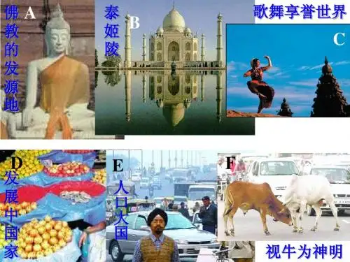 七下7.3《印度》课件
