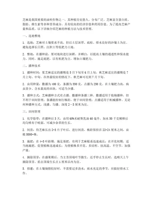芝麻种植方法技术管理