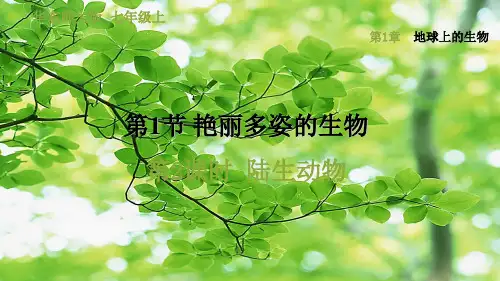 七年级科学 第1章 地球上的生物 1《艳丽多姿的生物》2 陆生动物习题 自然科学
