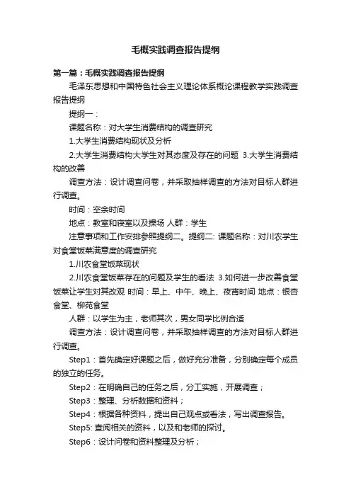 毛概实践调查报告提纲
