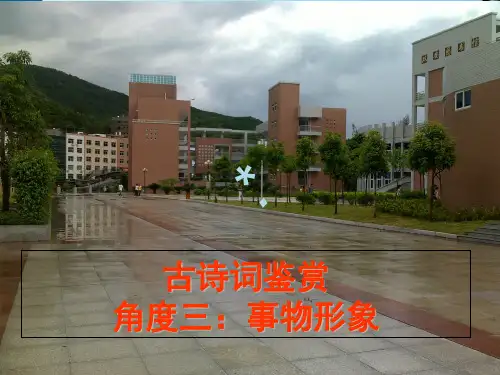 古诗词鉴赏--形象--事物形象