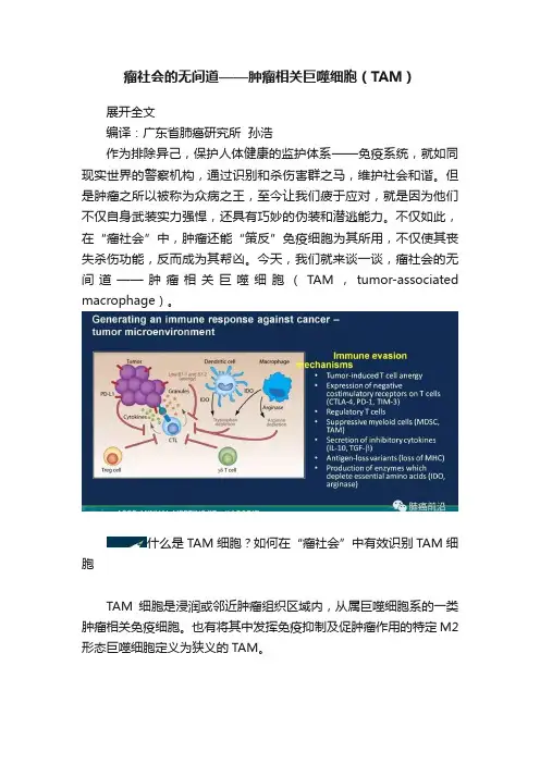 瘤社会的无间道——肿瘤相关巨噬细胞（TAM）