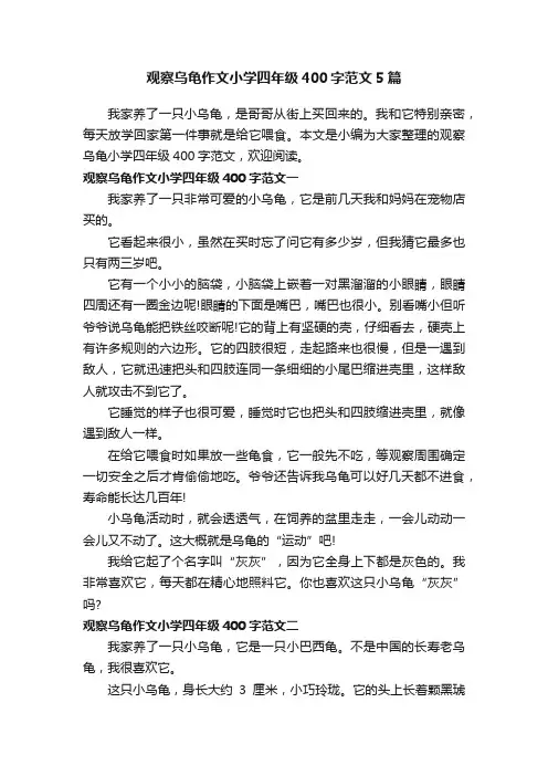 观察乌龟作文小学四年级400字范文5篇