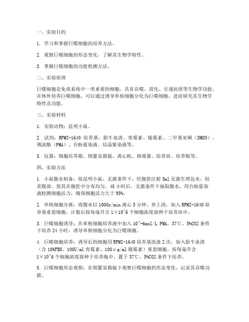 培养巨噬细胞实验报告