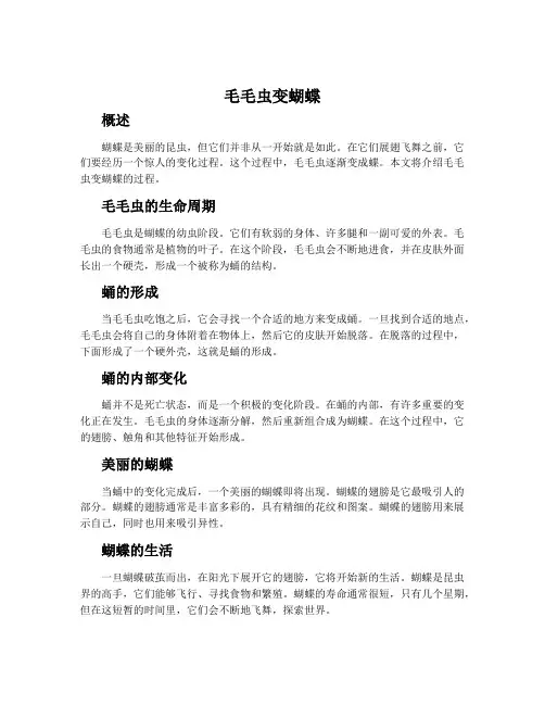 毛毛虫变蝴蝶