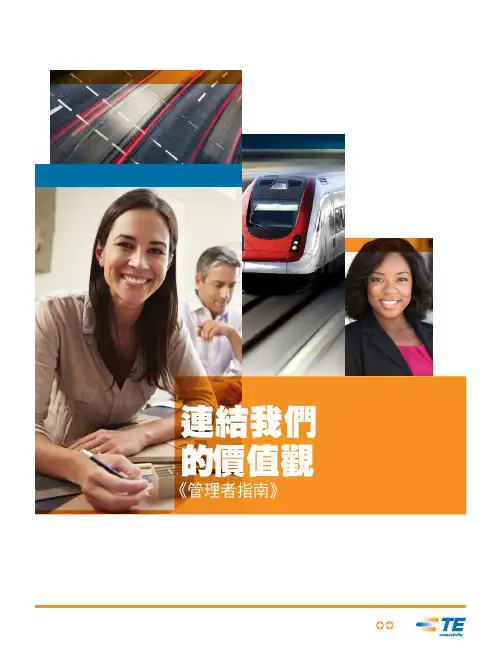 TE管理者指南说明书