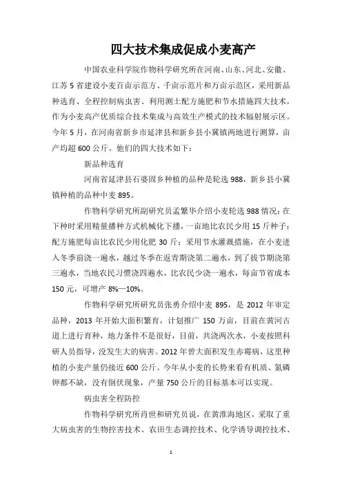 四大技术集成促成小麦高产