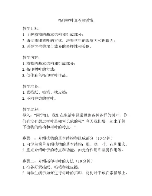 拓印树叶真有趣教案